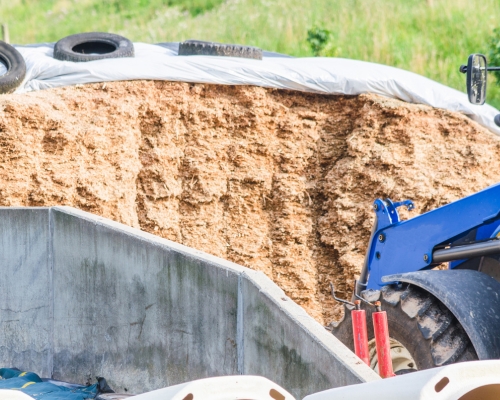 silo para comida de ganado