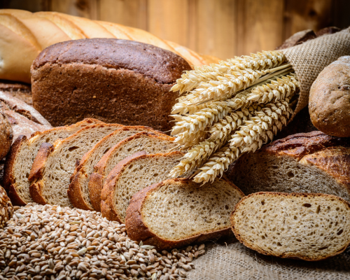 panifícación artesanal e industrial